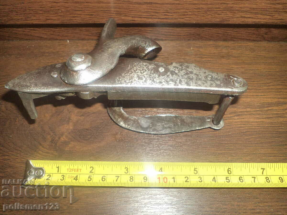 For Capsule with price 200.00 BGN | € 102.26 For Capsule with price 200.00 BGN | € 102.26