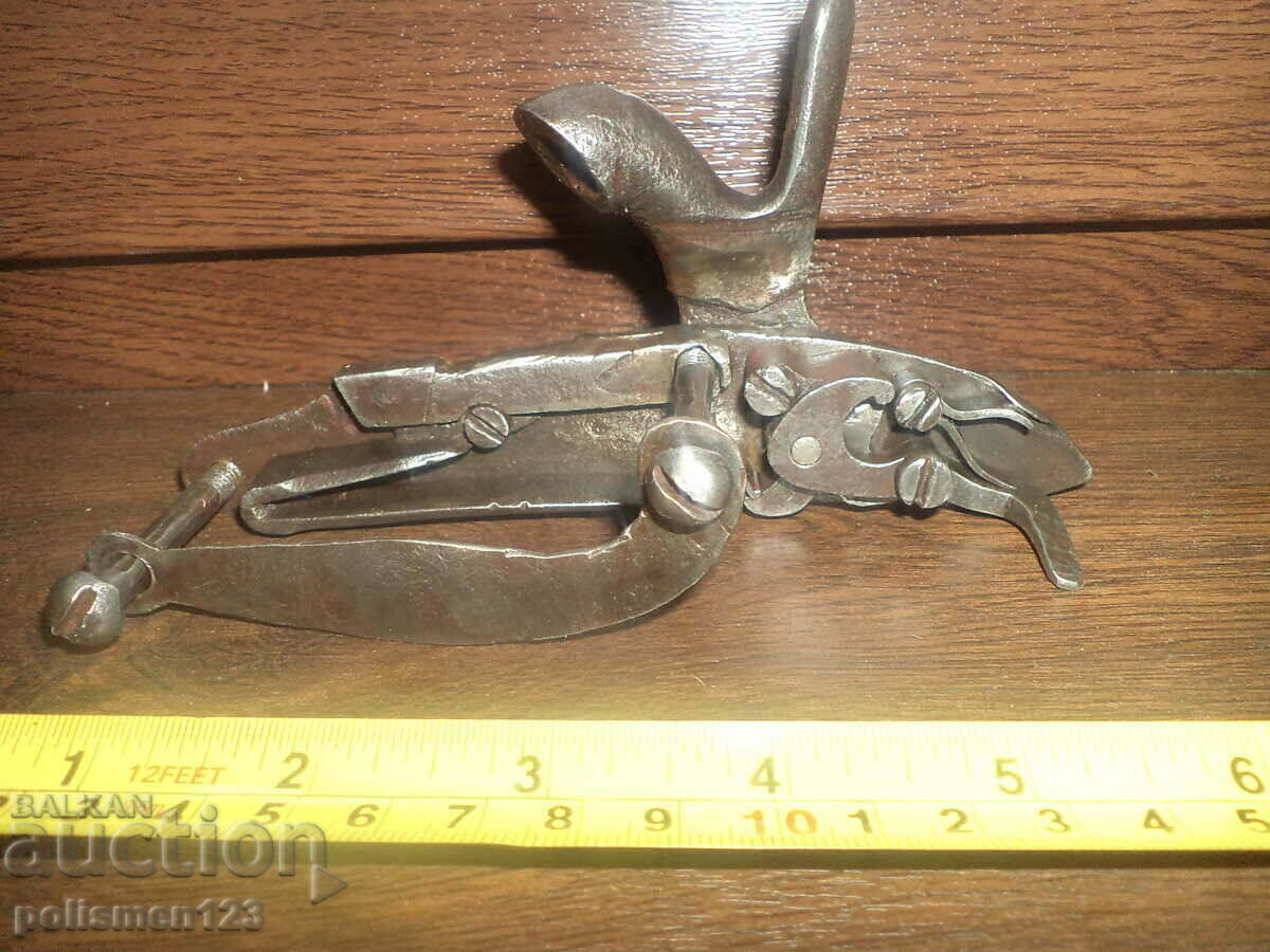 Delivery of For Capsule Delivery of For Capsule