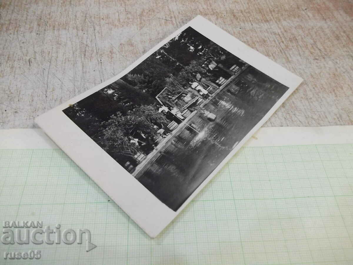 Δημοπρασία Παλιά φωτογραφία μπροστά στο σιντριβάνι Δημοπρασία Παλιά φωτογραφία μπροστά στο σιντριβάνι