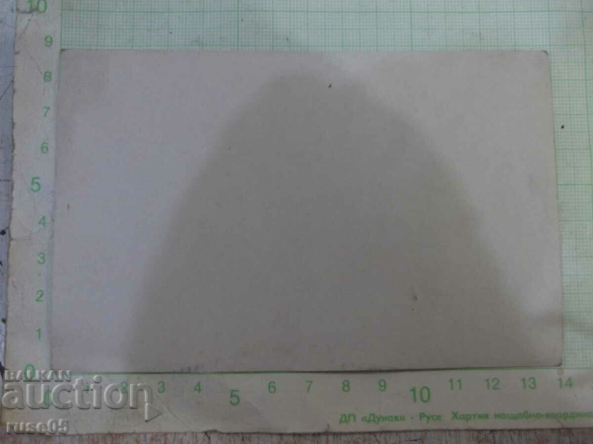 Old photo of an outing in nature - 1 with price 3.00 BGN | € 1.53 Old photo of an outing in nature - 1 with price 3.00 BGN | € 1.53