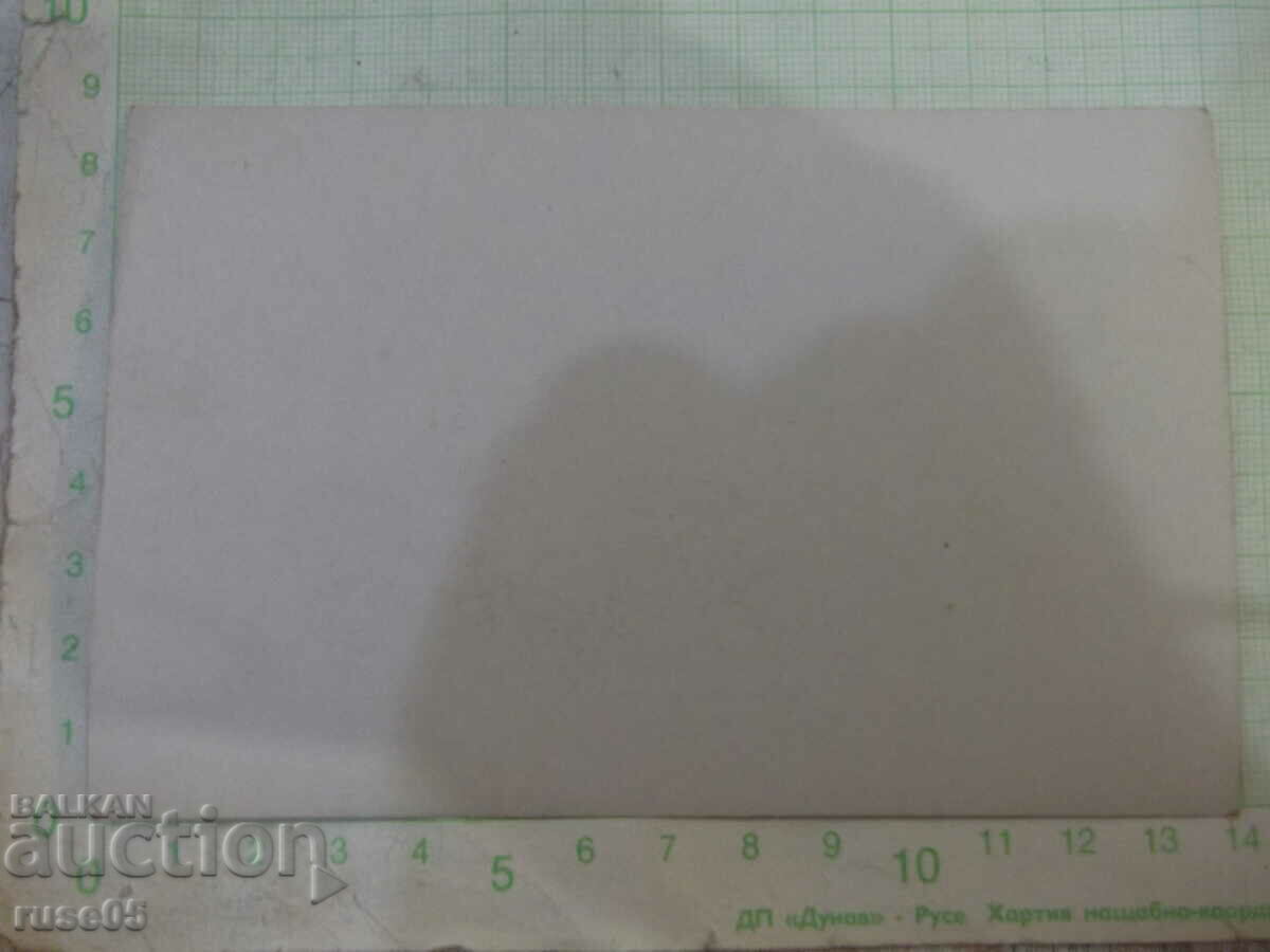 Old photo of an outing in nature - 2 with price 3.00 BGN | € 1.53 Old photo of an outing in nature - 2 with price 3.00 BGN | € 1.53