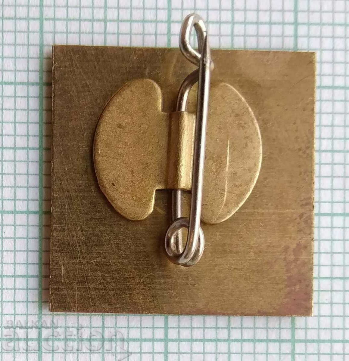 Auction 17062 Badge - Worker Checkpoint Auction 17062 Badge - Worker Checkpoint