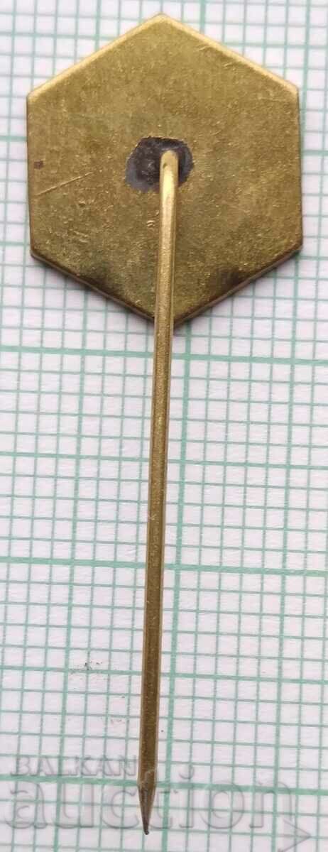 Auction 17064 Badge Auction 17064 Badge