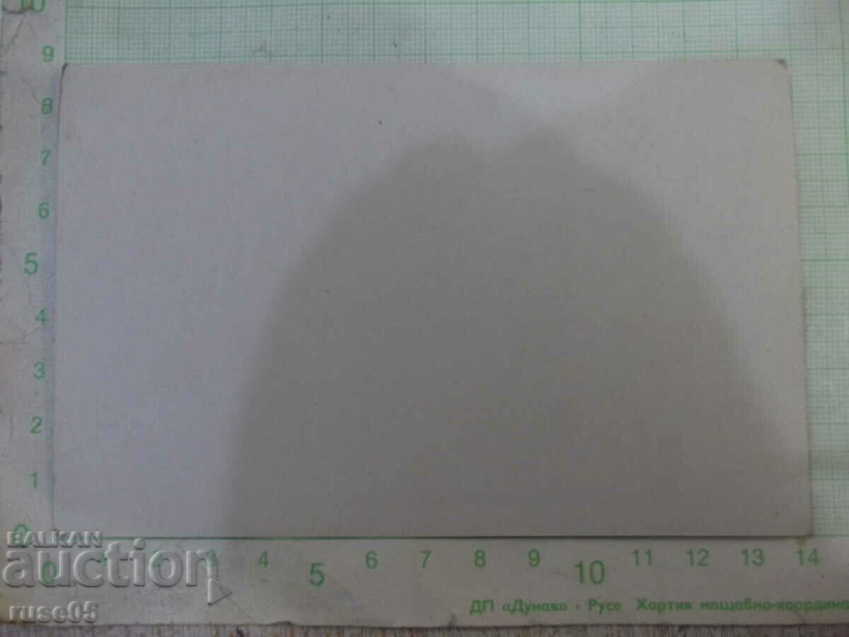 Old photo of an outing in nature - 5 with price 3.00 BGN | € 1.53