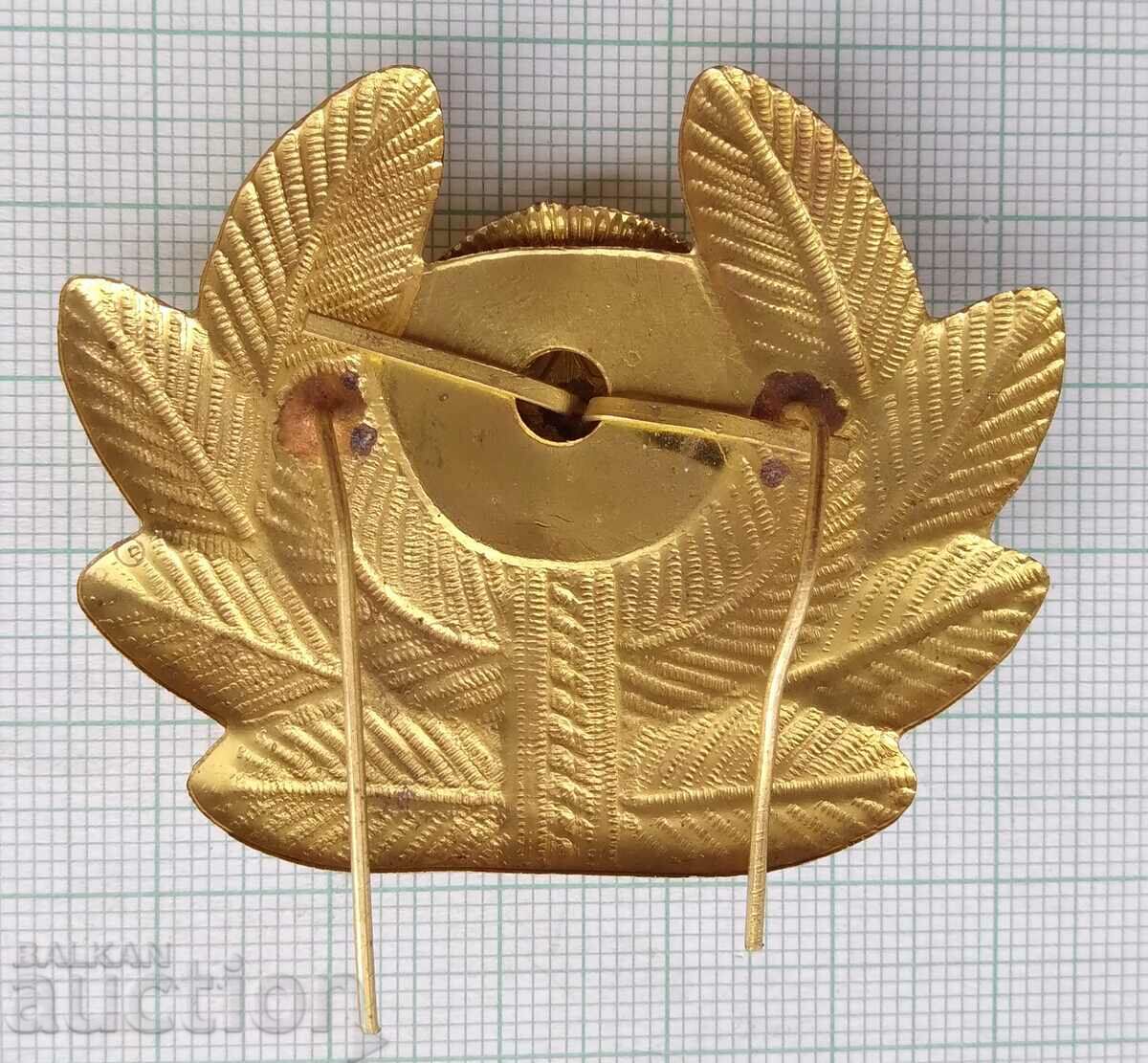 17071 Cockade - Air Force Air Force with price 6.00 BGN | € 3.07 17071 Cockade - Air Force Air Force with price 6.00 BGN | € 3.07