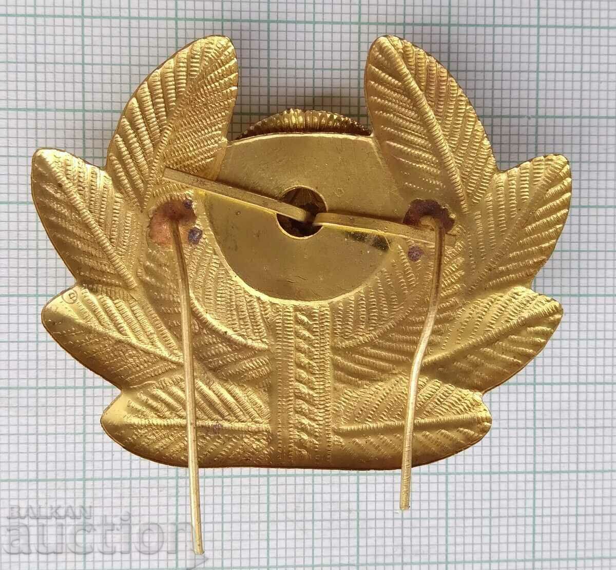 17072 Cockade - Air Force Air Force with price 6.00 BGN | € 3.07 17072 Cockade - Air Force Air Force with price 6.00 BGN | € 3.07