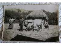 , VOLOVAR BUFFALO HUT KARA'S FAMILY OX BUFFALO PHOTO