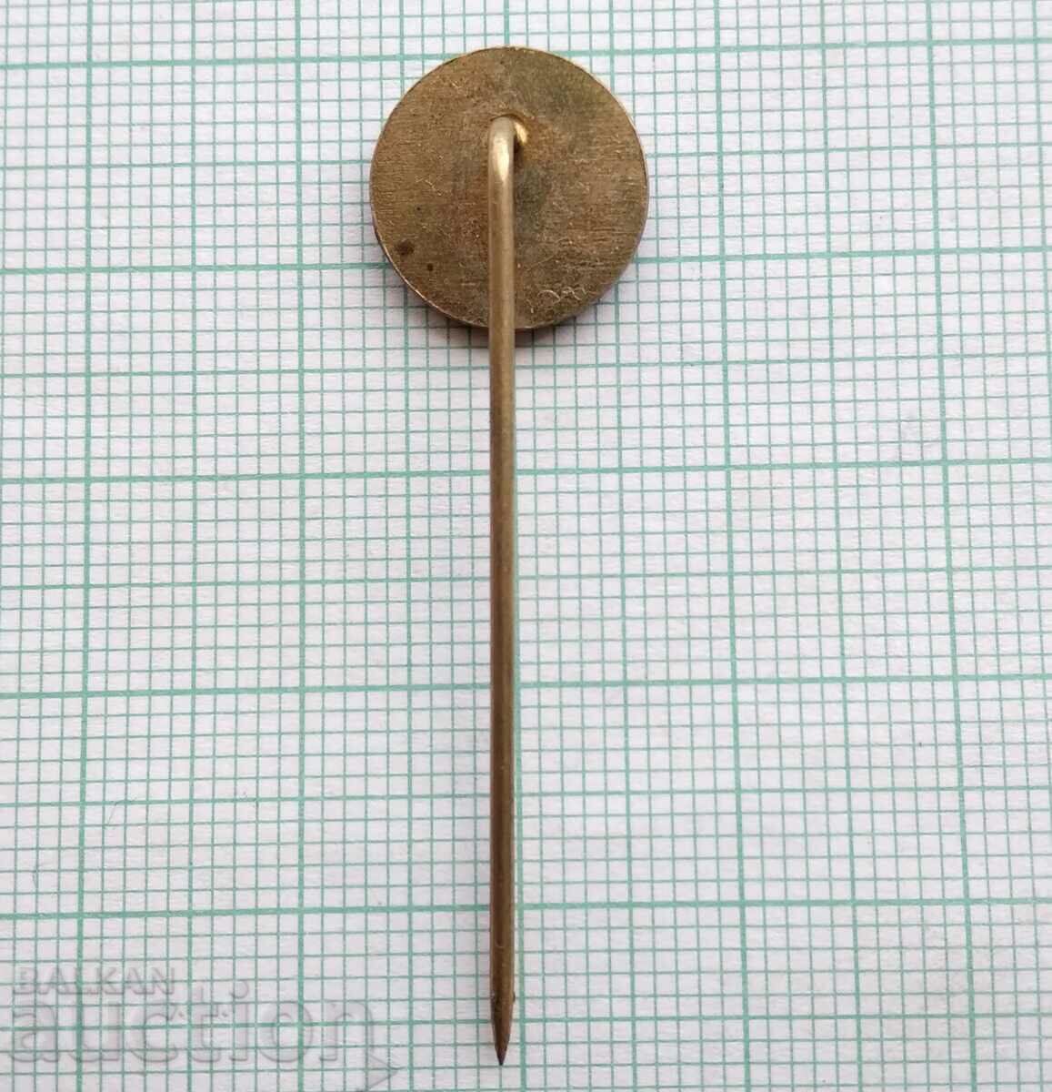 Auction  17080 Badge