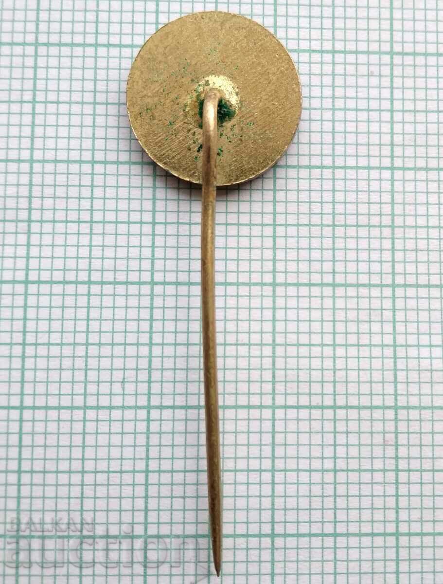 Auction  17086 Badge