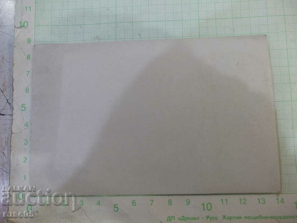 Old photo in front of the trees with price 5.00 BGN | € 2.56