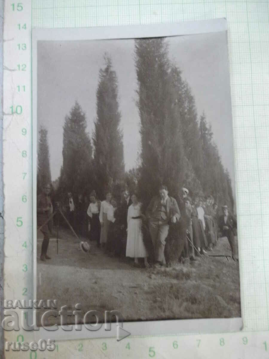 Old photo in front of the trees