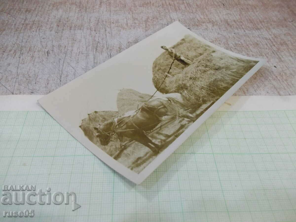 Auction Old photo of a man on the straw of a wagon Auction Old photo of a man on the straw of a wagon