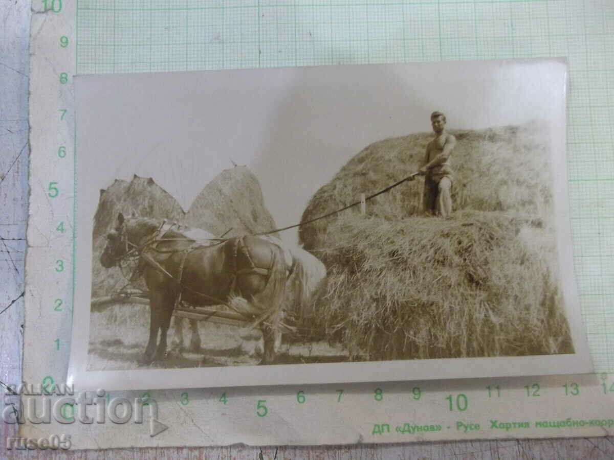 Old photo of a man on the straw of a wagon