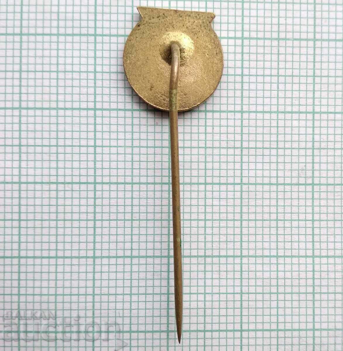 Auction  17096 Badge