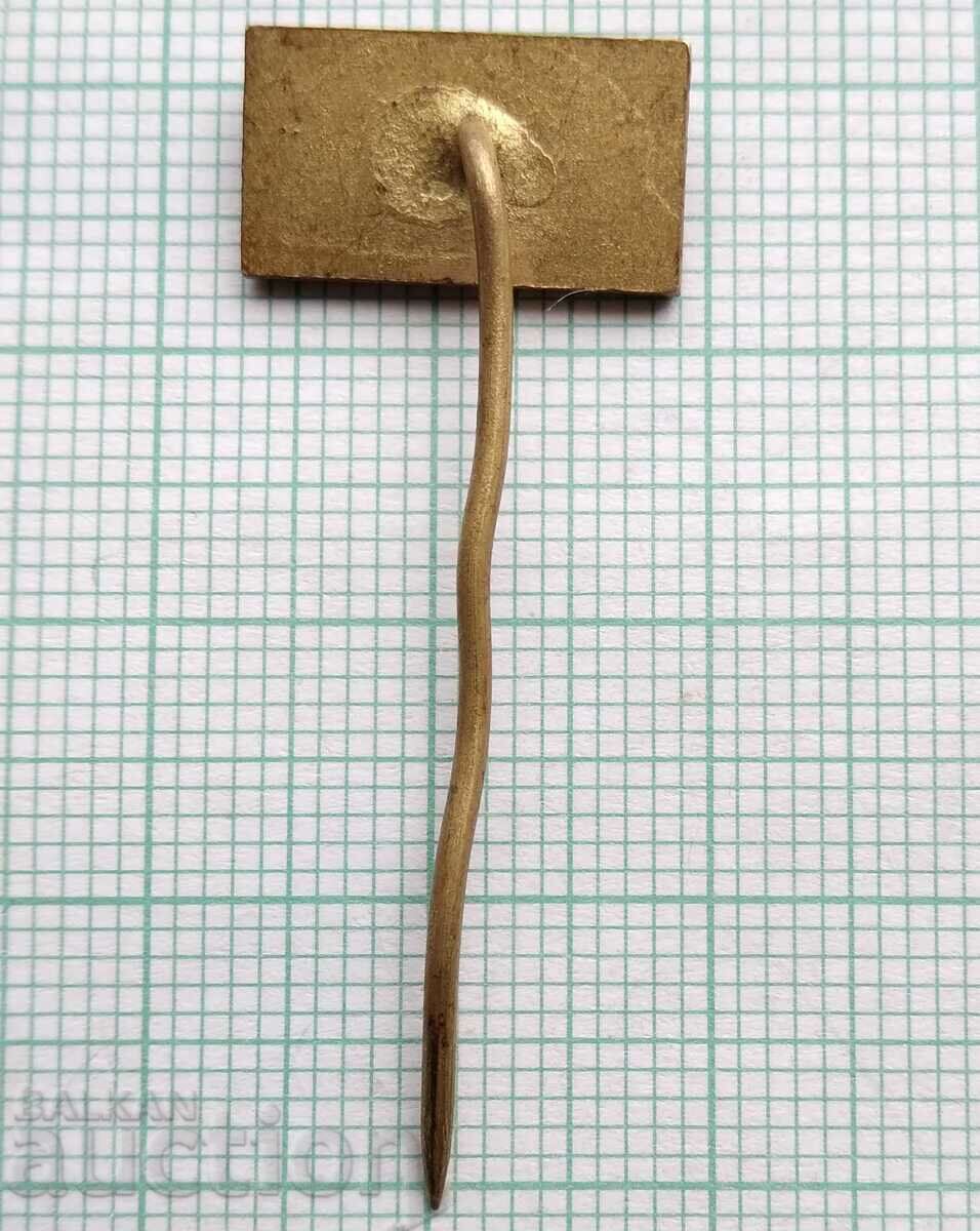 Аукцион 17098 Значка Аукцион 17098 Значка