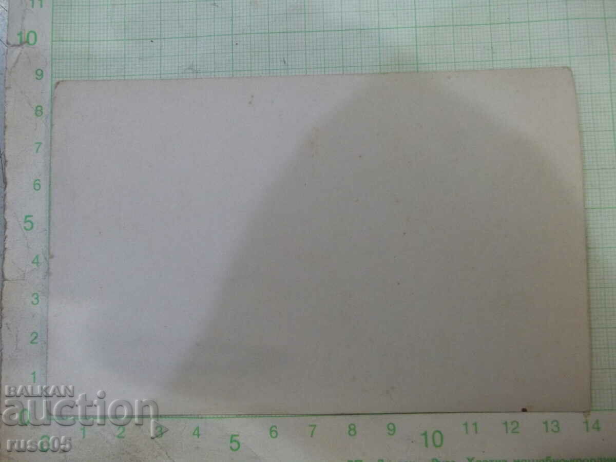 Old photo of a group of children on the tree in front of the river with price 5.00 BGN | € 2.56 Old photo of a group of children on the tree in front of the river with price 5.00 BGN | € 2.56