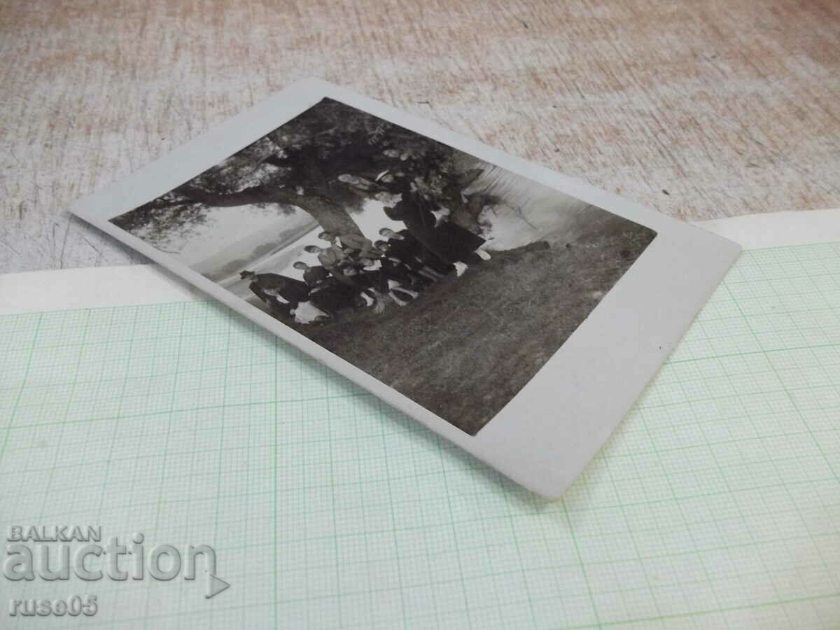 Auction Old photo of a group of children on the tree in front of the river Auction Old photo of a group of children on the tree in front of the river