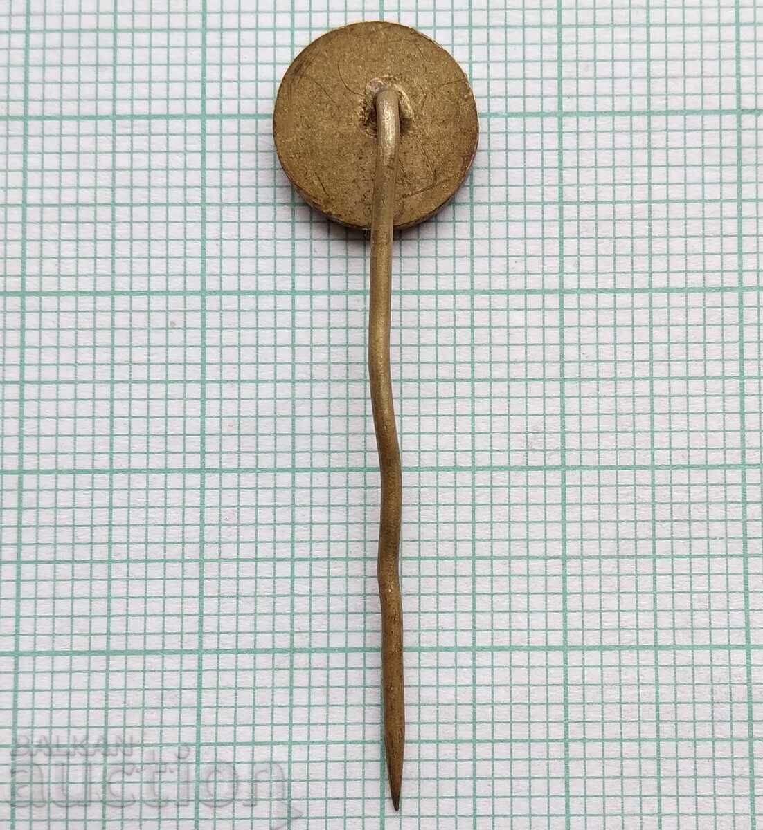 Auction  17100 Badge