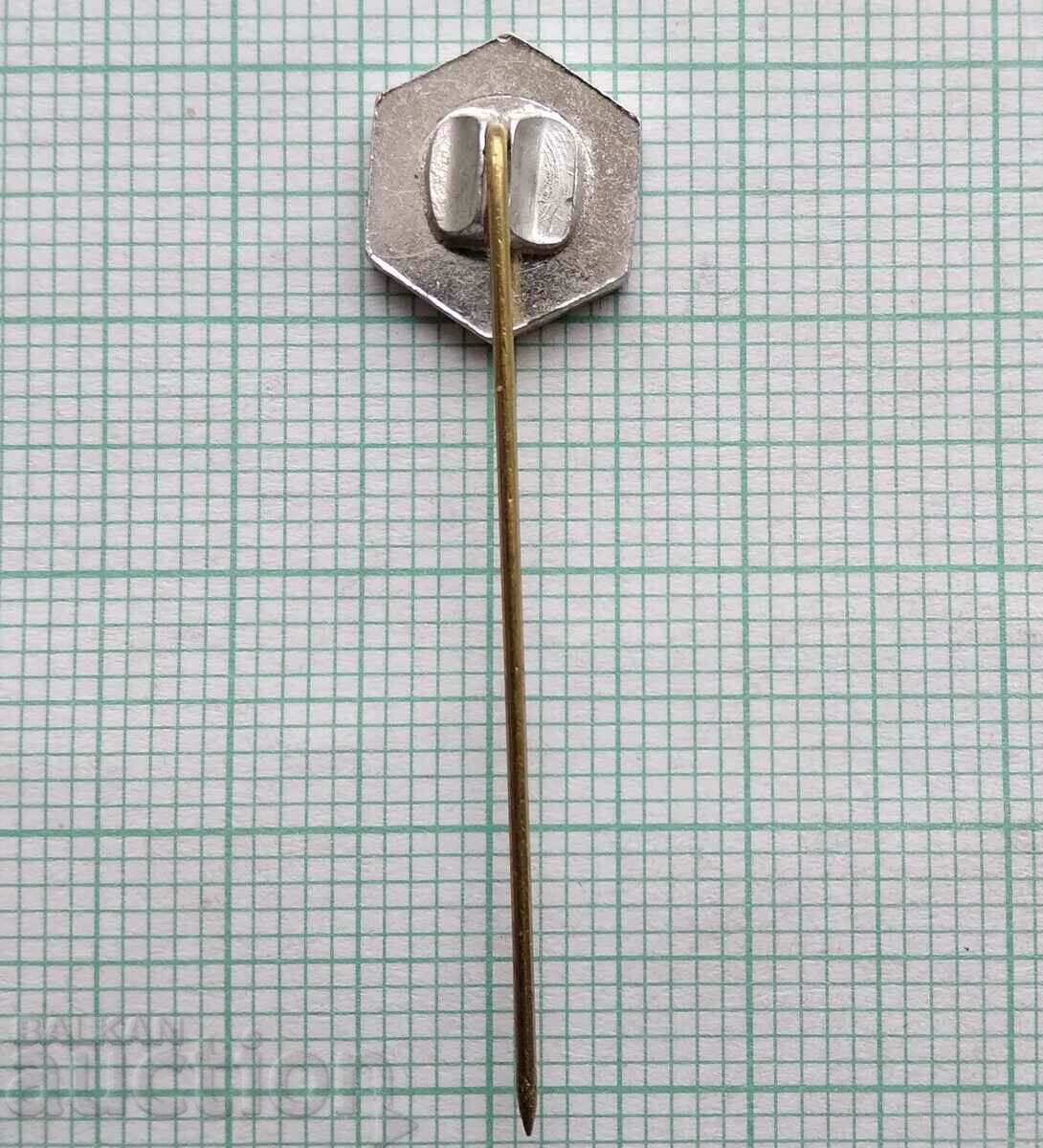 Auction 17101 Badge Auction 17101 Badge