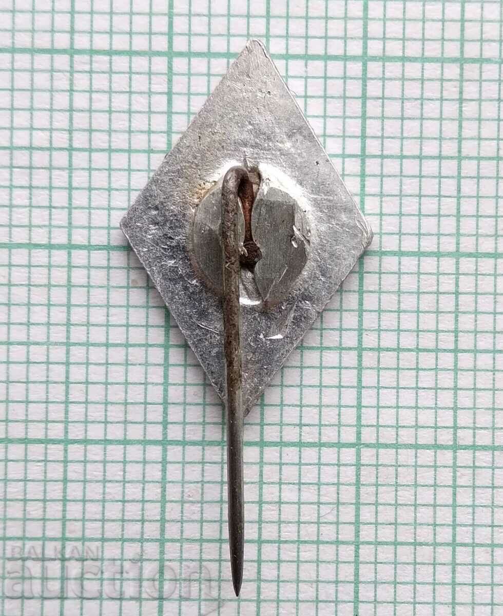 Auction 17104 Badge - Auction 17104 Badge -