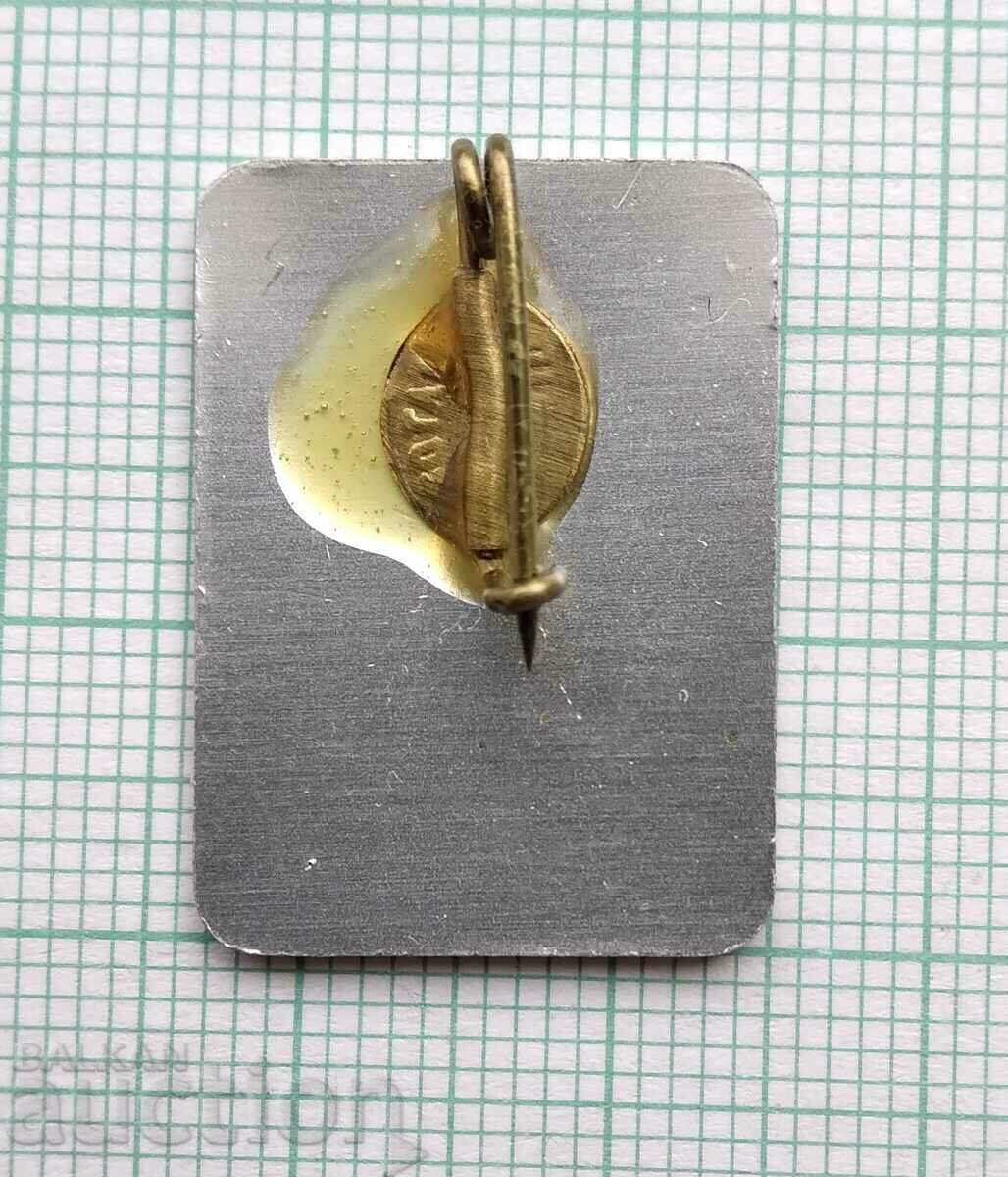 Auction  17111 Badge