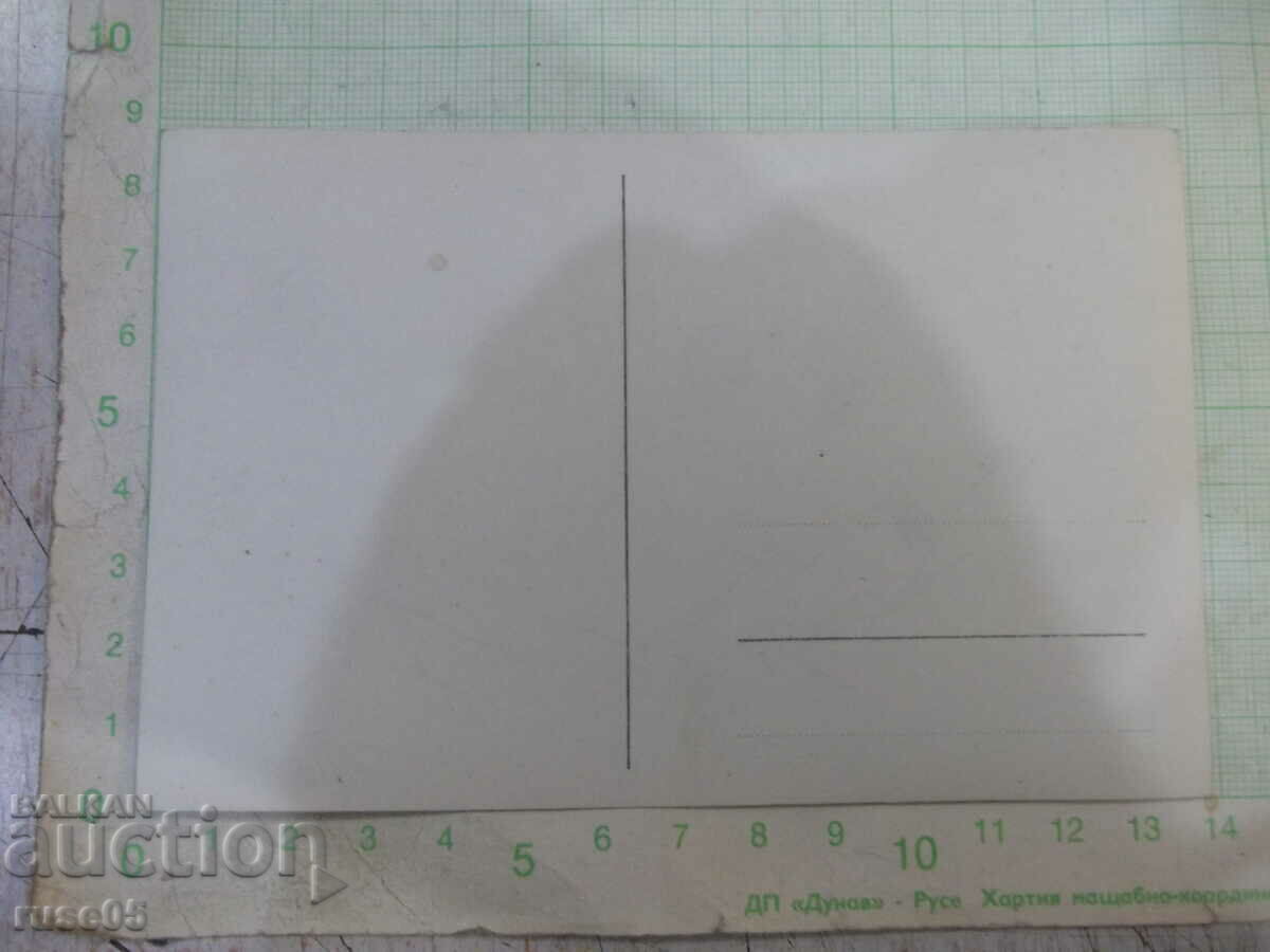 Παλιά φωτογραφία μιας ομάδας νέων στη φύση με τιμή 5.00 BGN | € 2.56 Παλιά φωτογραφία μιας ομάδας νέων στη φύση με τιμή 5.00 BGN | € 2.56