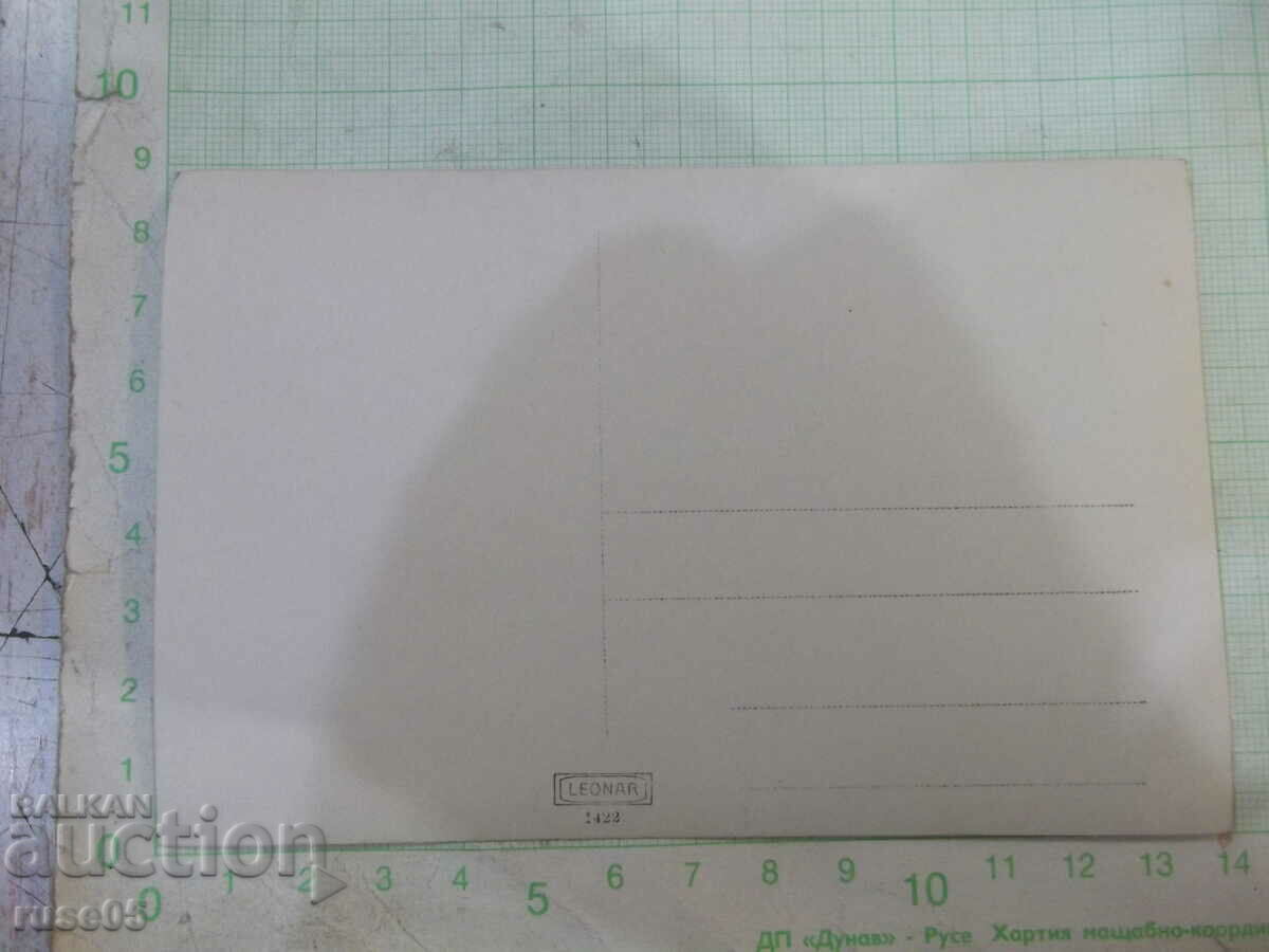 Παλιά φωτογραφία μιας ομάδας σε ένα πικνίκ με τιμή 5.00 BGN | € 2.56 Παλιά φωτογραφία μιας ομάδας σε ένα πικνίκ με τιμή 5.00 BGN | € 2.56