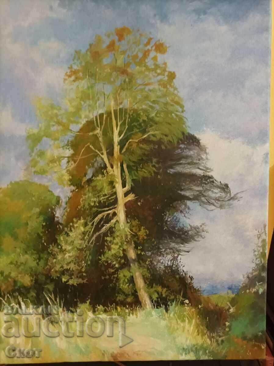 Pictura in ulei