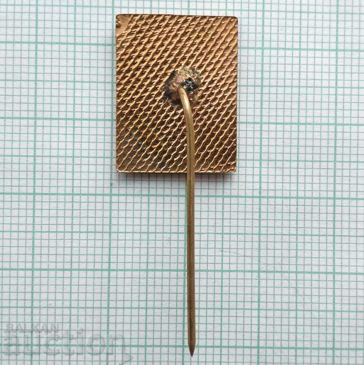 Auction 17119 Badge - Republican Village Spartakiad - bronze enamel Auction 17119 Badge - Republican Village Spartakiad - bronze enamel