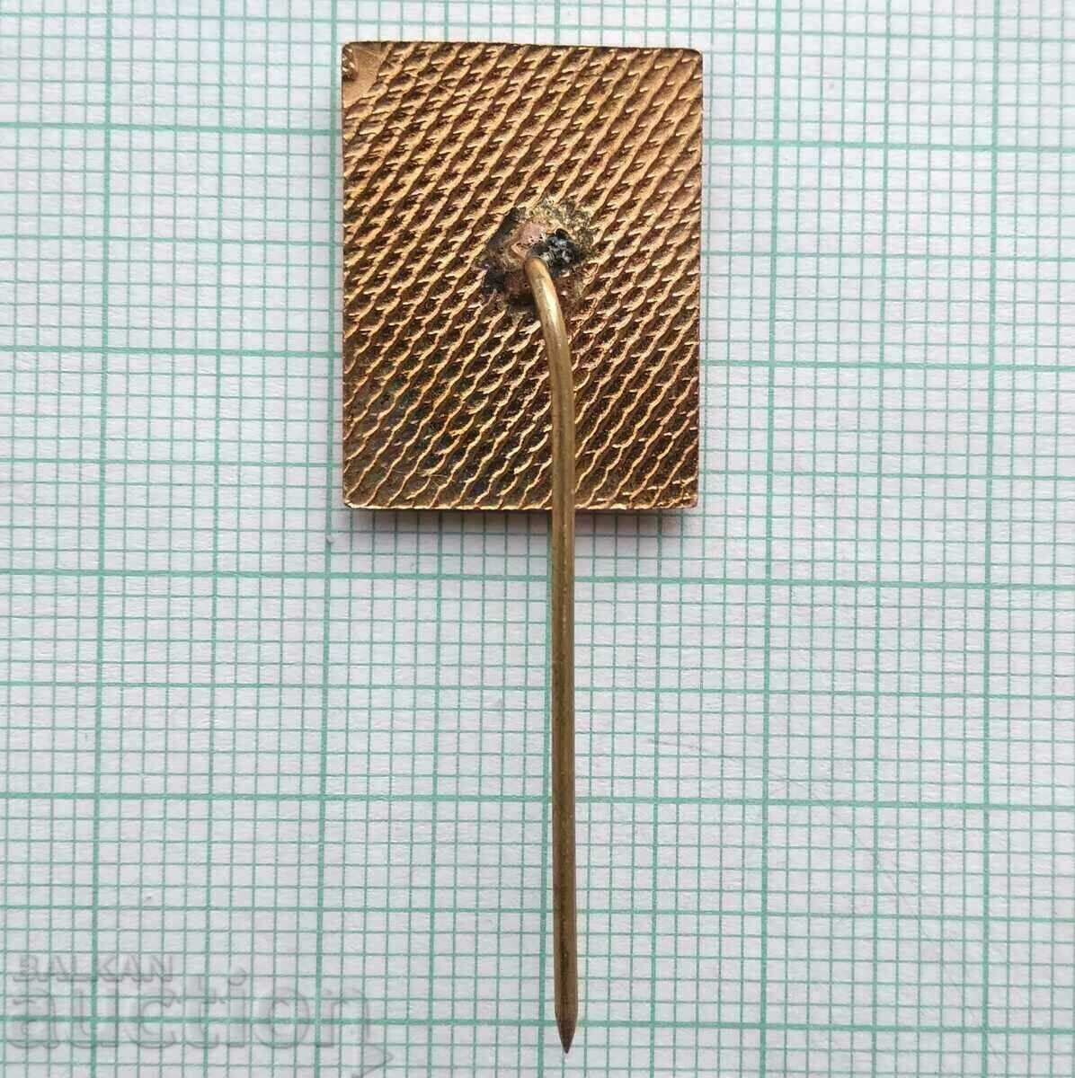 Auction 17120 Badge - Republican Village Spartakiad - bronze enamel Auction 17120 Badge - Republican Village Spartakiad - bronze enamel