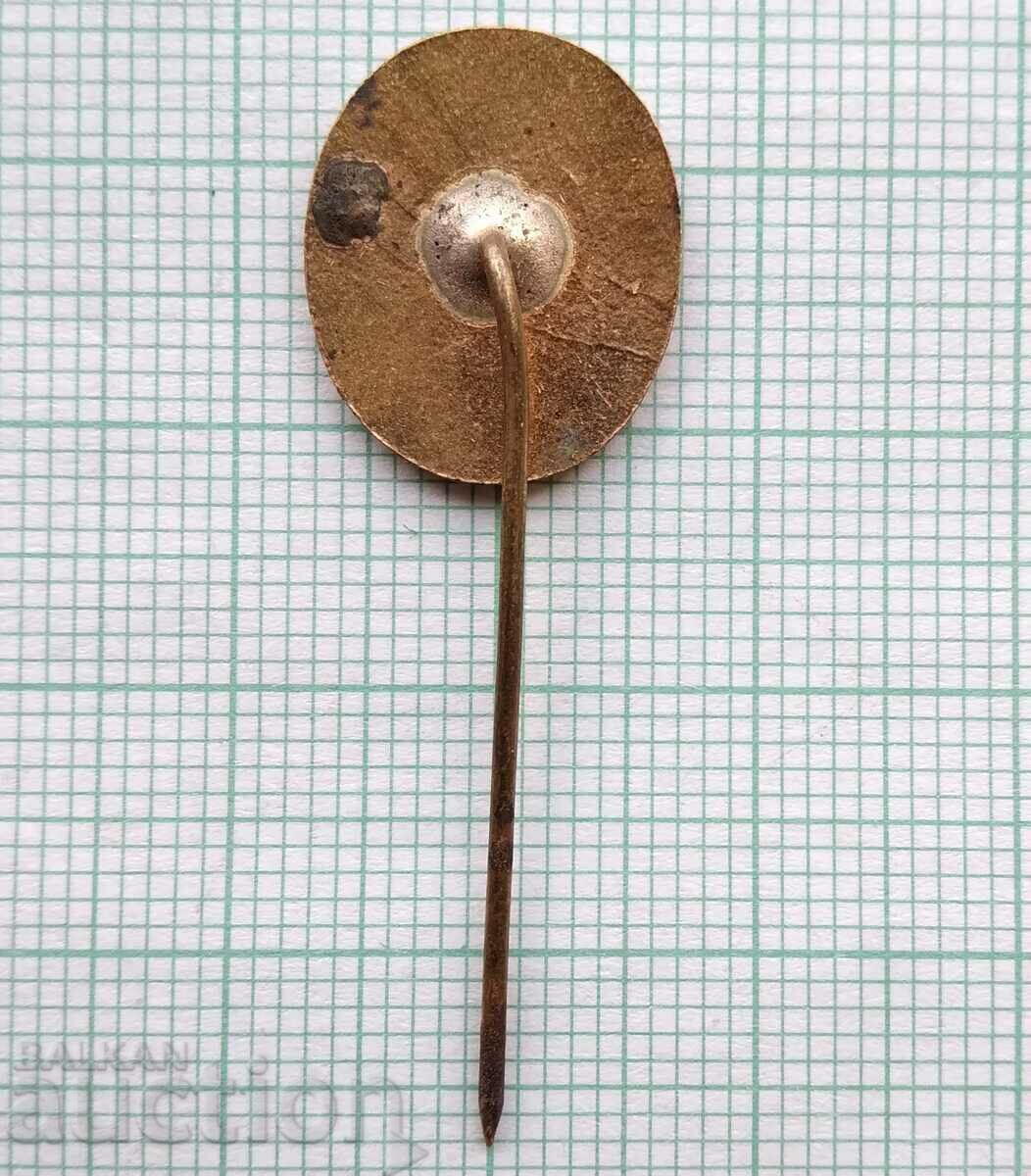 Auction  17127 Badge - Balkantourist - bronze enamel