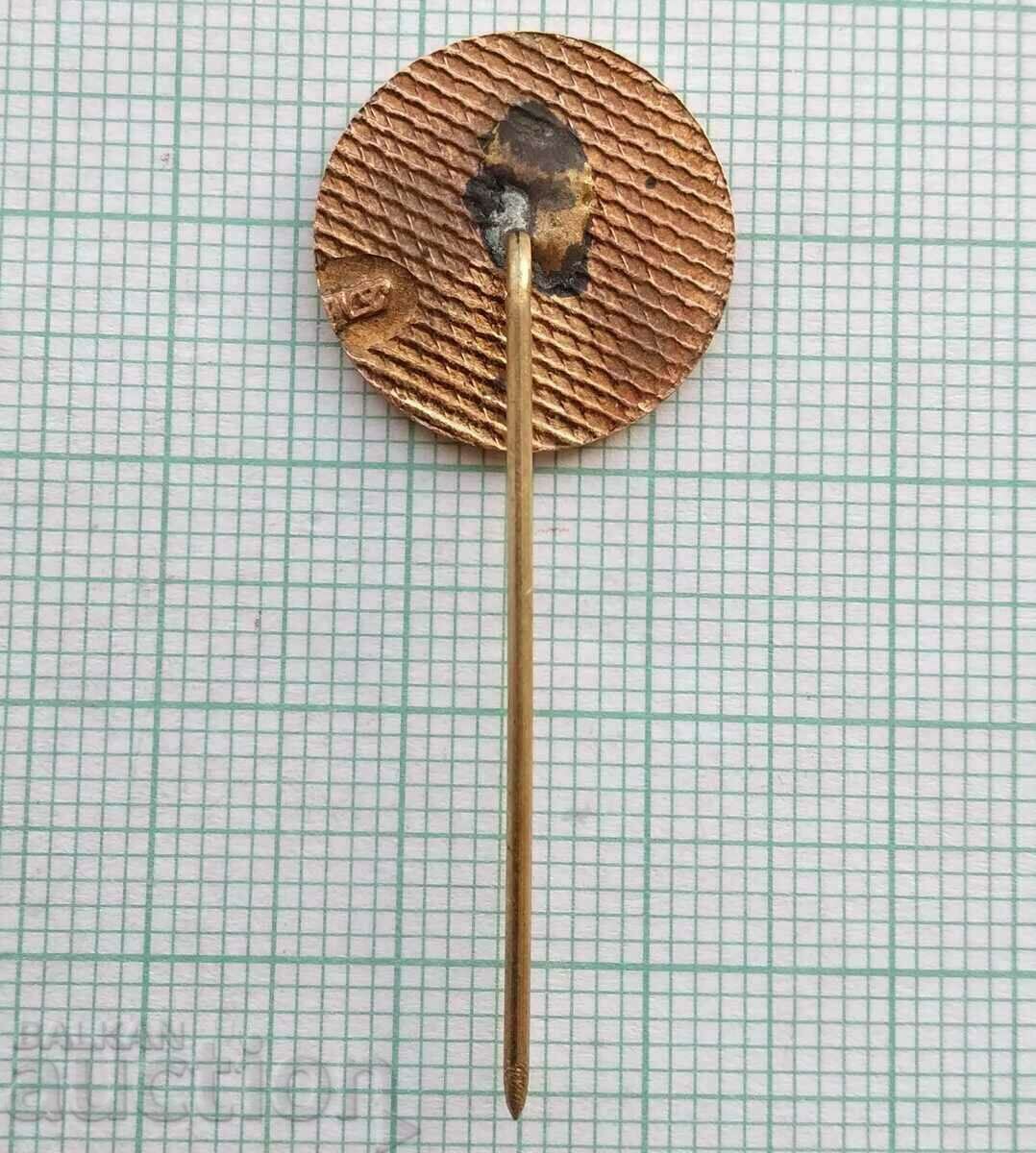 Auction  17129 Badge - Ziti Ruse - bronze enamel