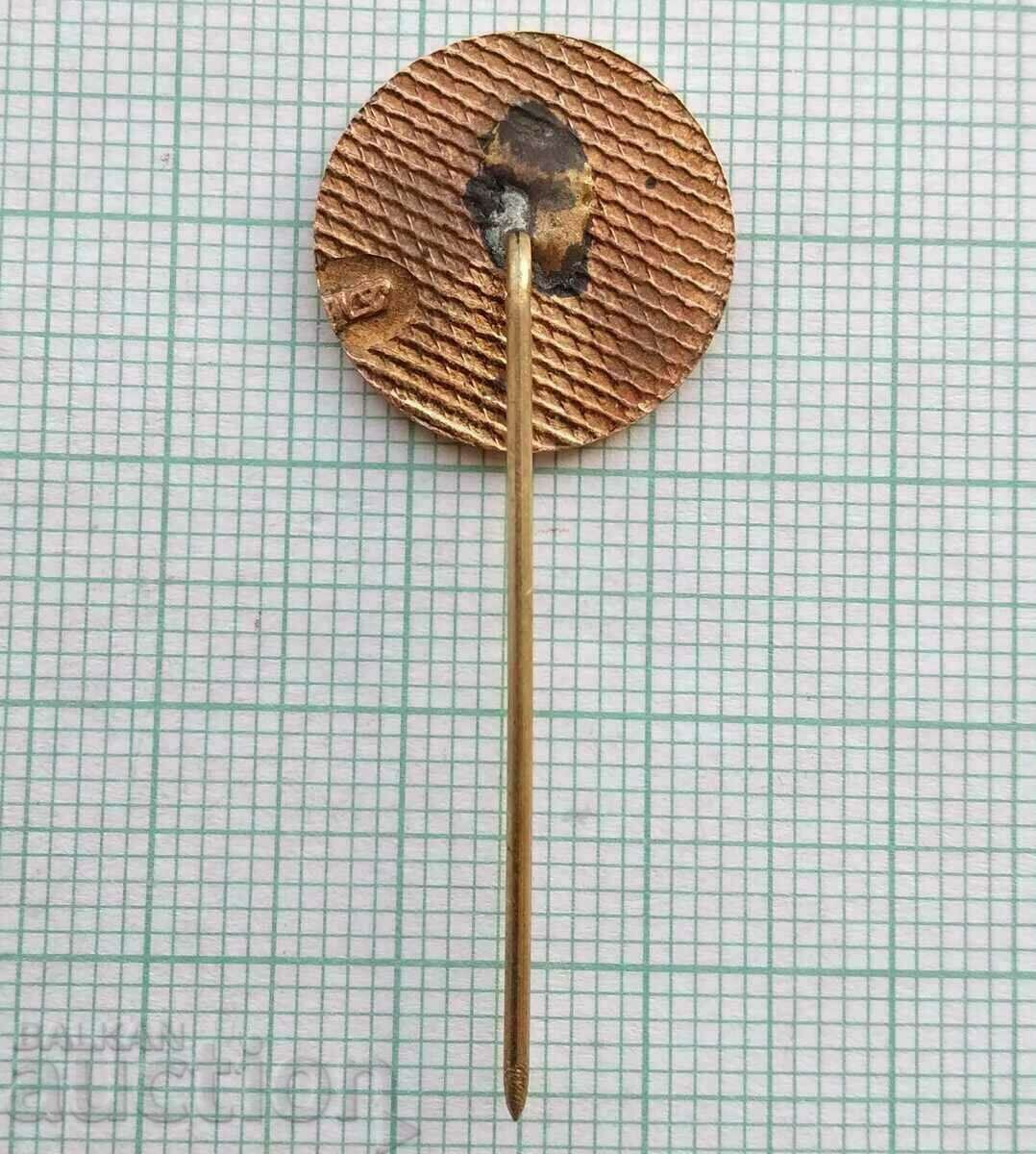 Auction  17130 Badge - Ziti Ruse - bronze enamel