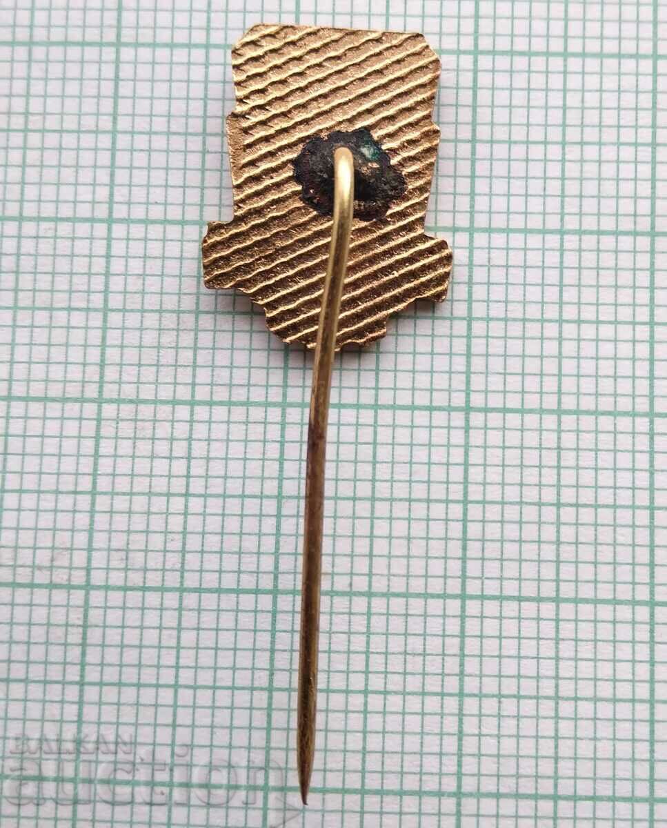 Auction 17165 Badge - BSFS small - bronze enamel Auction 17165 Badge - BSFS small - bronze enamel