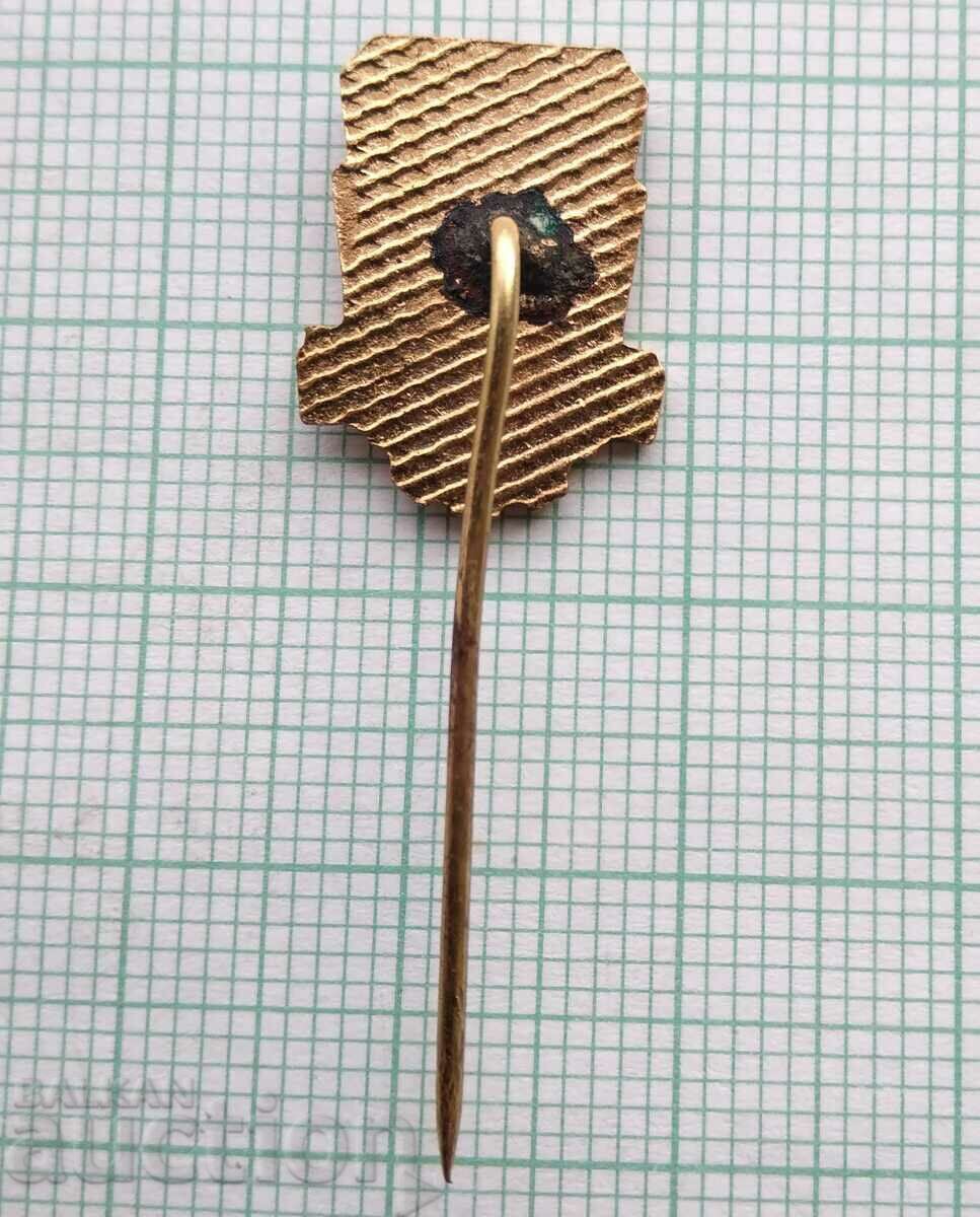 Auction 17166 Badge - BSFS small - bronze enamel Auction 17166 Badge - BSFS small - bronze enamel