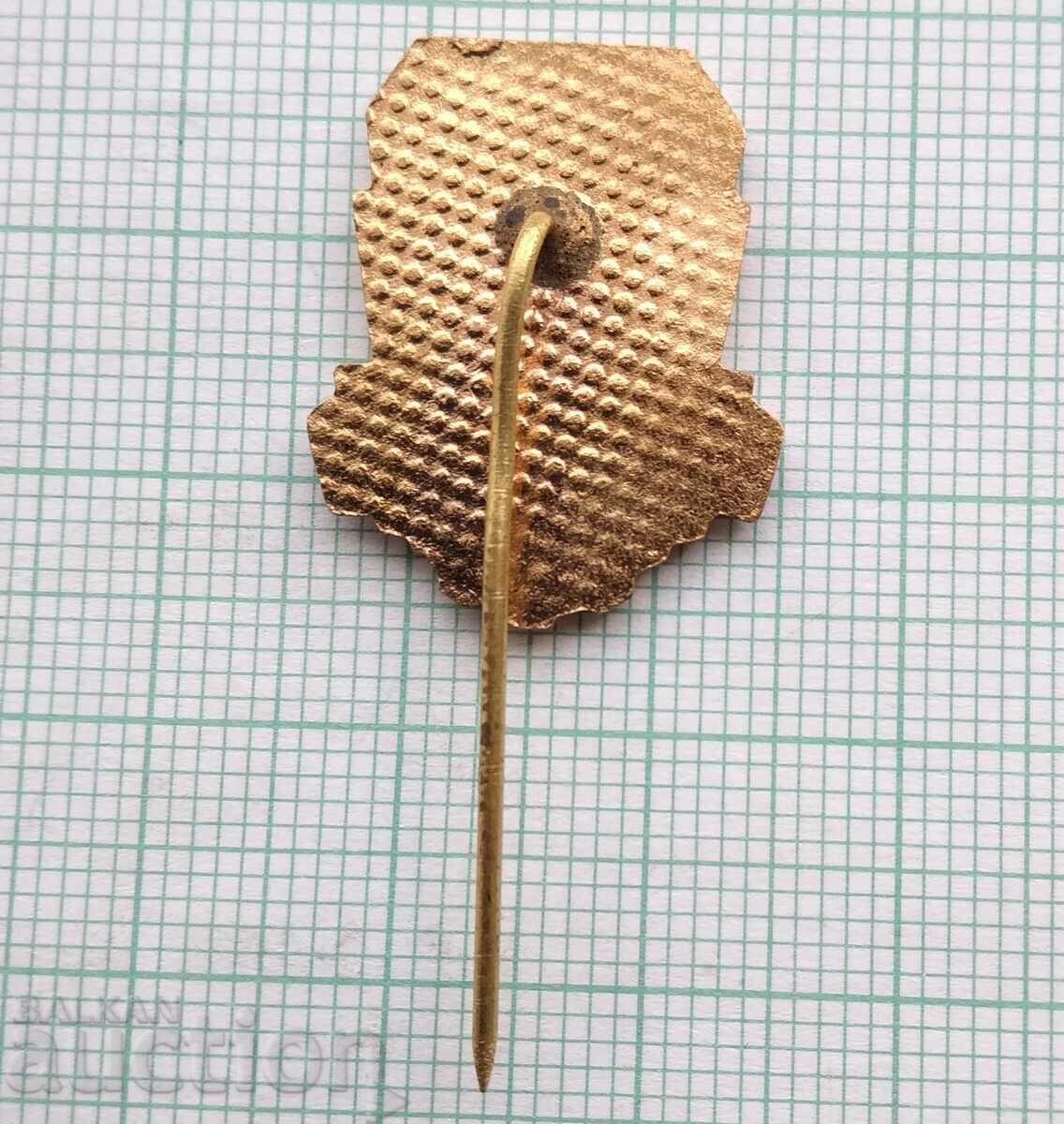 Auction 17168 Badge - BSFS large - bronze enamel Auction 17168 Badge - BSFS large - bronze enamel