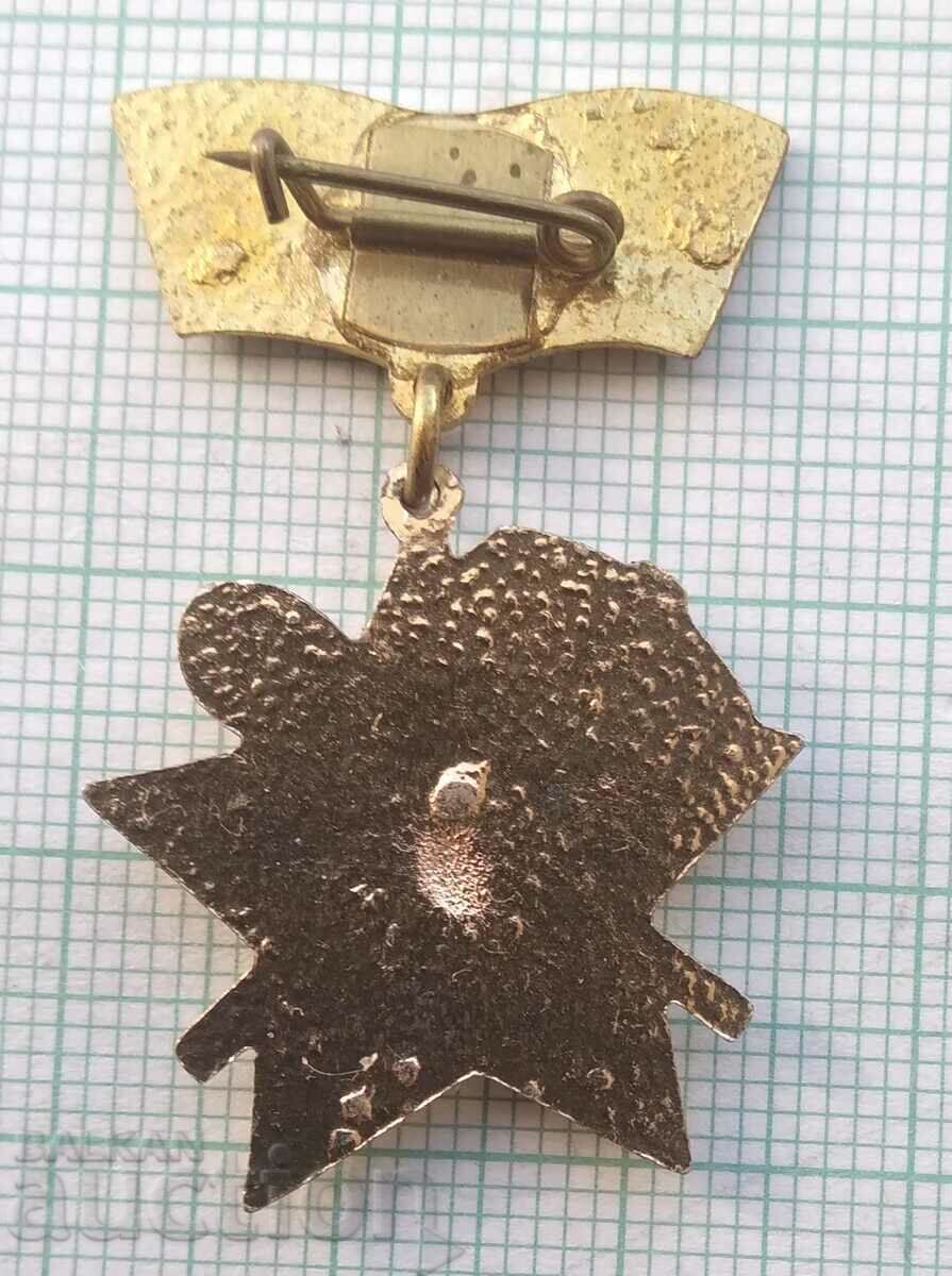 Auction  17172 Badge - We are building for the Motherland