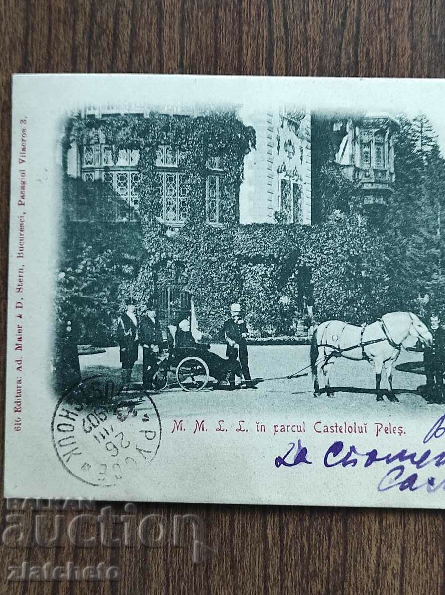 Auction  Rare postcard - Sinaia