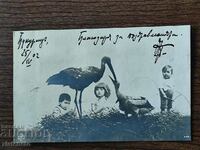 Rare postcard -