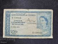 250 милс Кипър 1955