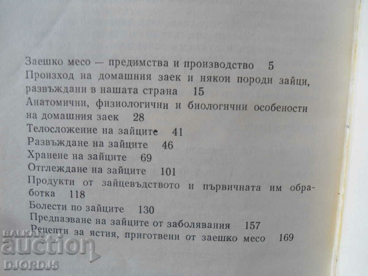 Rabbit farming questions and answers - 5