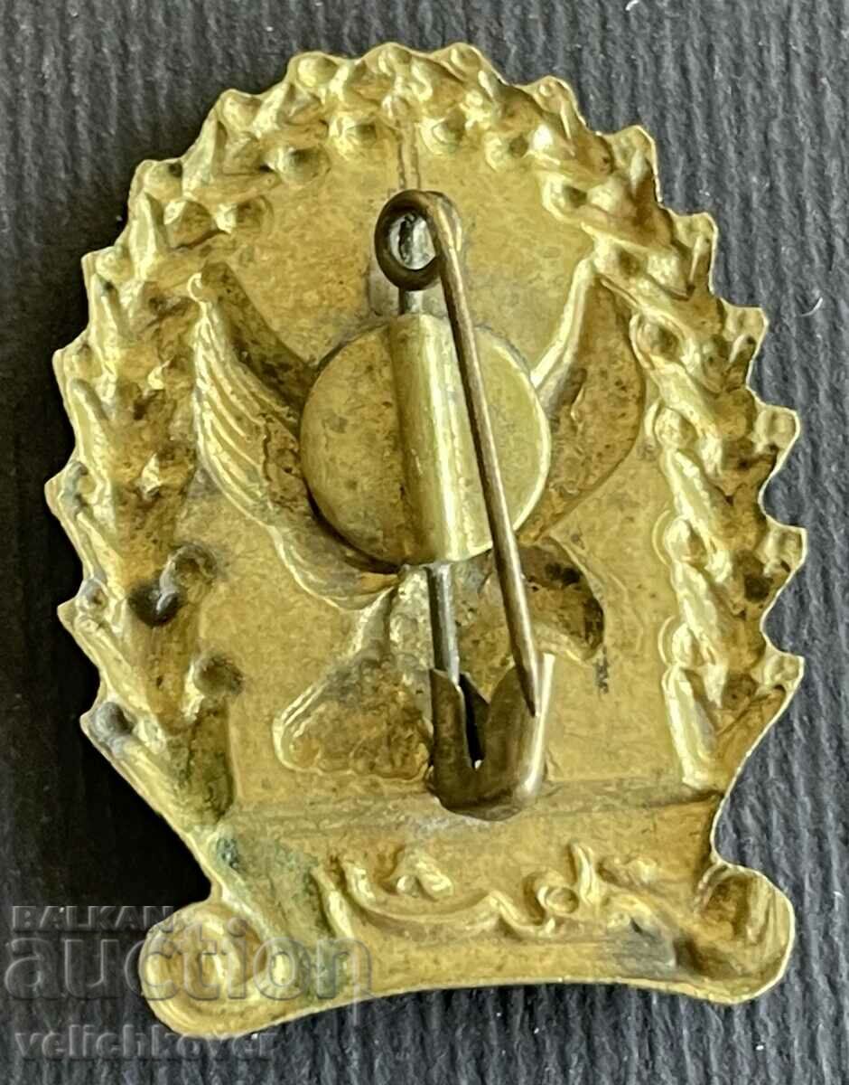 39130 Arabic falconry sign with price 4.00 BGN | € 2.05 39130 Arabic falconry sign with price 4.00 BGN | € 2.05