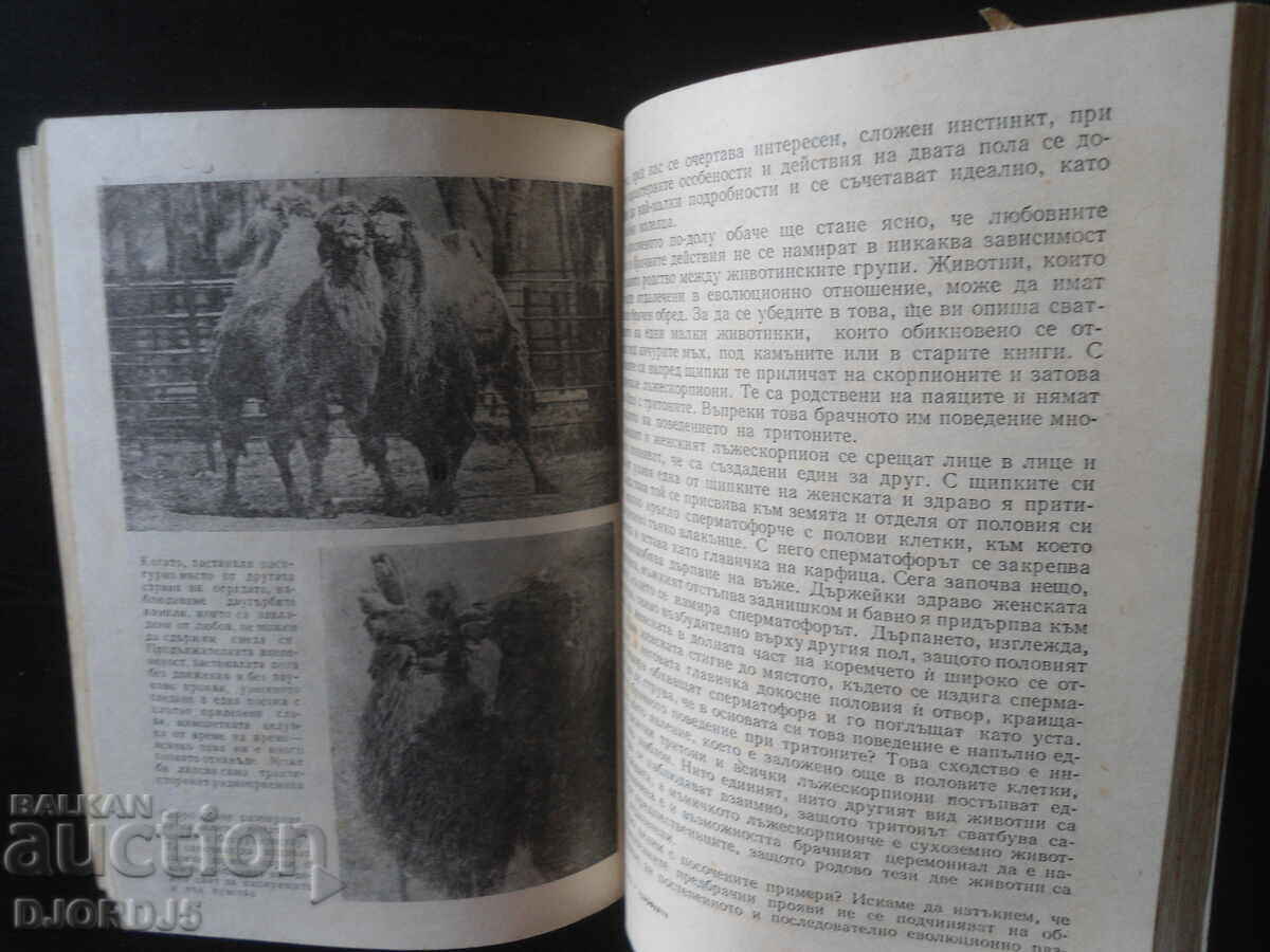 Livrarea Dragoste în natură