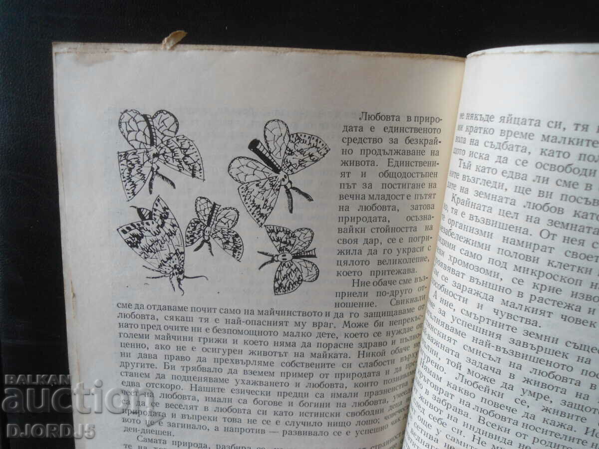 Dragoste în natură - 5