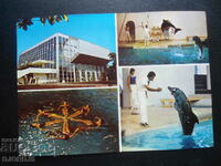 VARNA - the dolphinarium, Old postcard