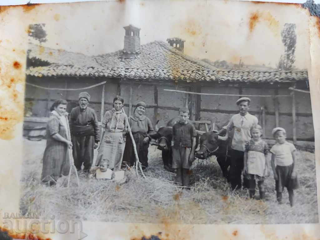 , FOTOGRAFIE VECHE HAMUL BUFFALO