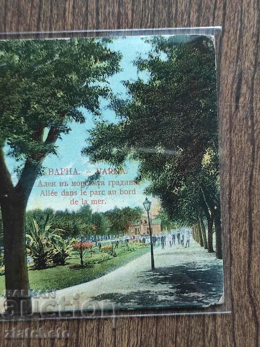 Καρτ ποστάλ - Βάρνα, δρομάκι στον Κήπο της Θάλασσας με τιμή 40.00 BGN | € 20.45 Καρτ ποστάλ - Βάρνα, δρομάκι στον Κήπο της Θάλασσας με τιμή 40.00 BGN | € 20.45