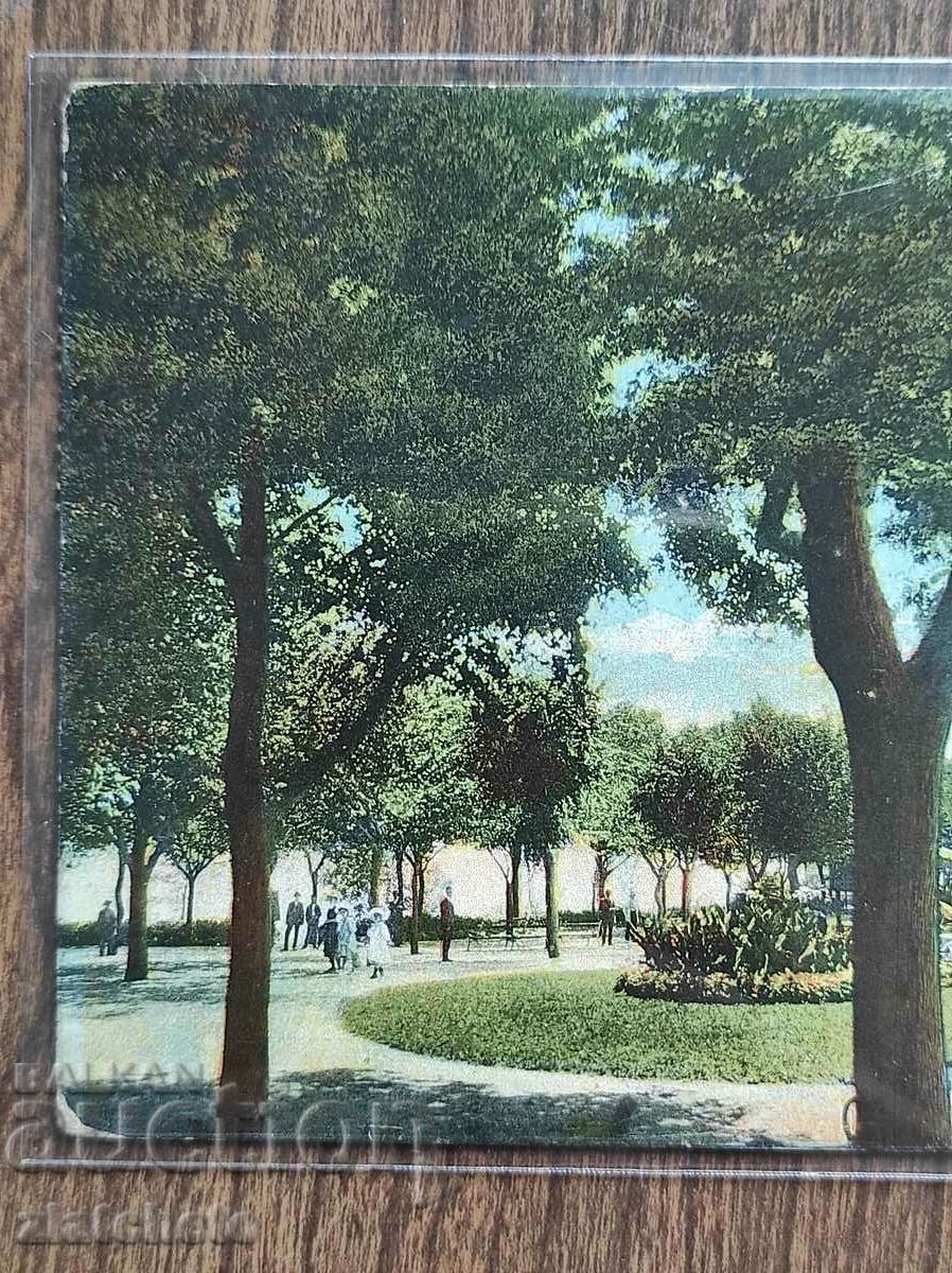 Δημοπρασία Καρτ ποστάλ - Βάρνα, δρομάκι στον Κήπο της Θάλασσας Δημοπρασία Καρτ ποστάλ - Βάρνα, δρομάκι στον Κήπο της Θάλασσας