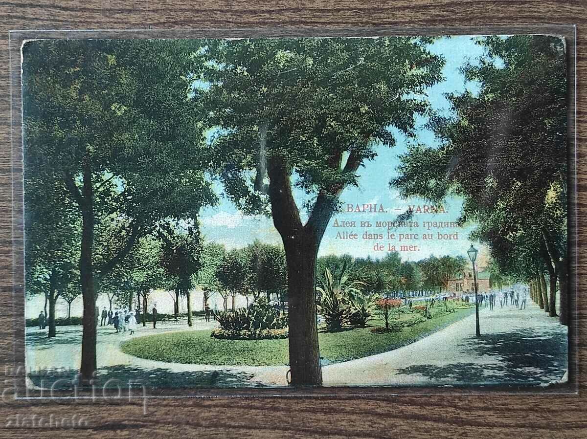 Postcard - Varna, alley in the Sea Garden