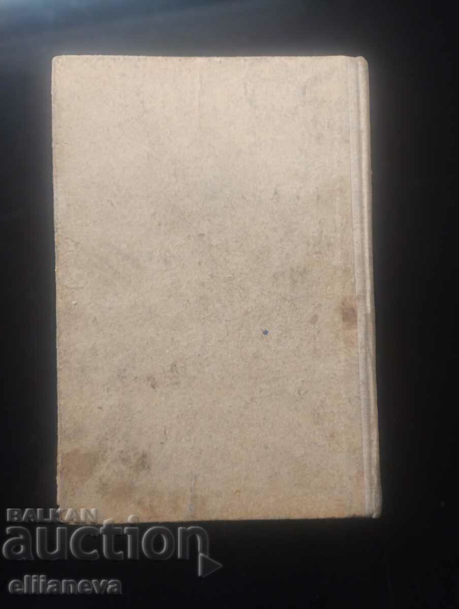 Auction  A Brazilian tragedy